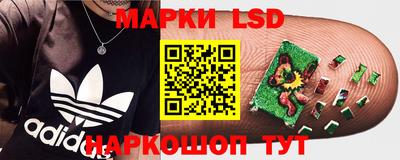 гидропоника Жуковский