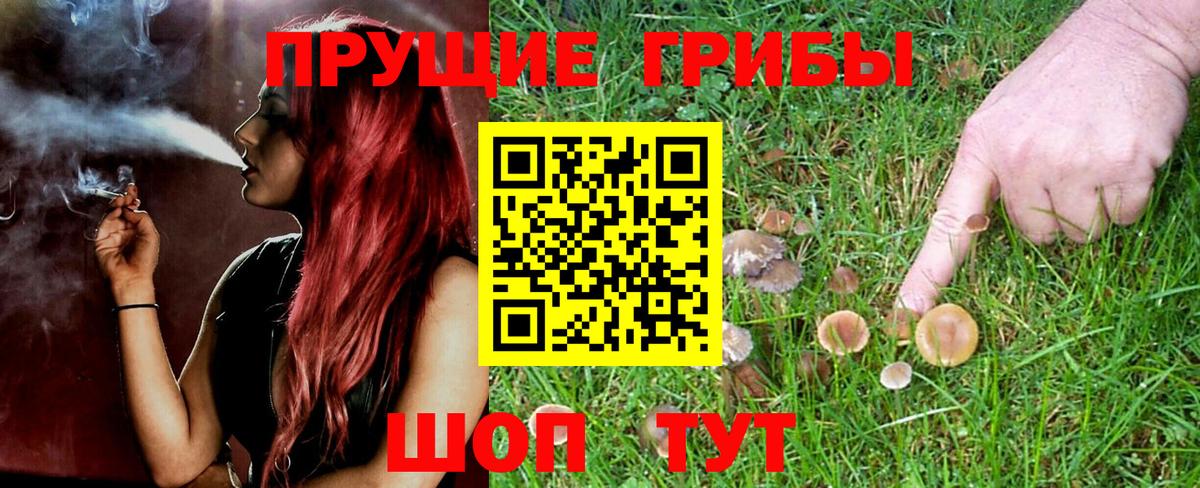 Галлюциногенные грибы Psilocybe  Псилоцибиновые грибы Cubensis  Вход с VPN  Кыштым 