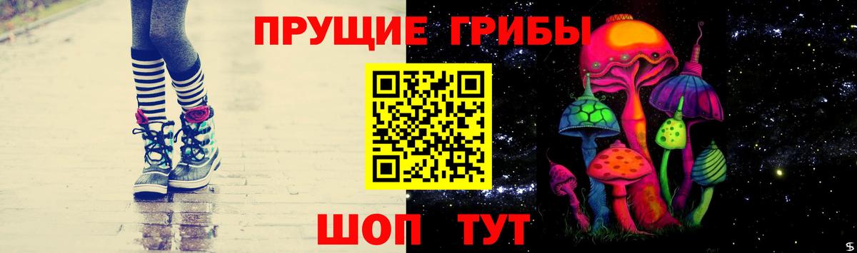 Псилоцибиновые грибы мицелий Кыштым