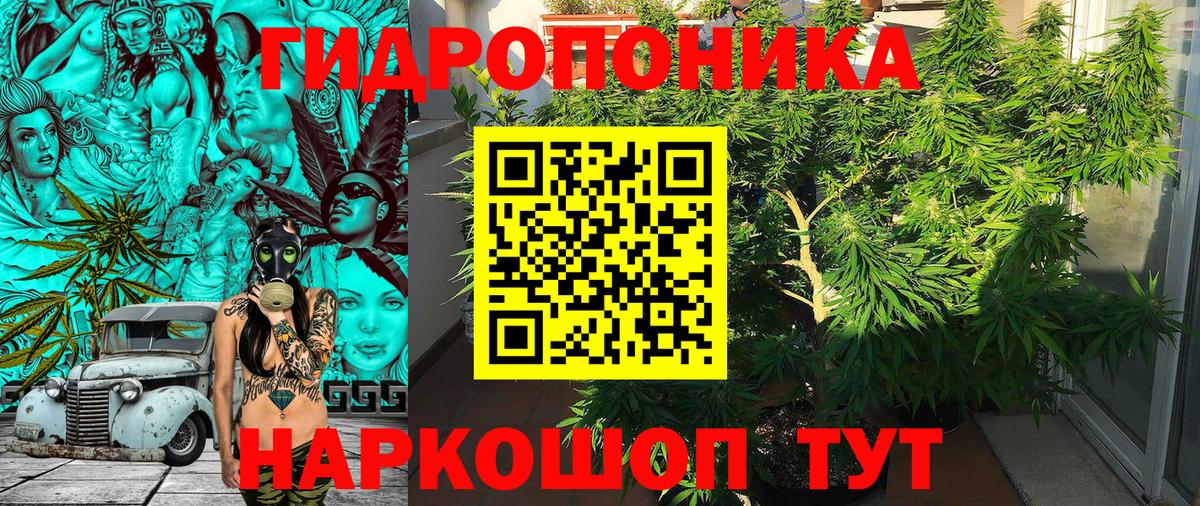 Канабис марихуана Кыштым